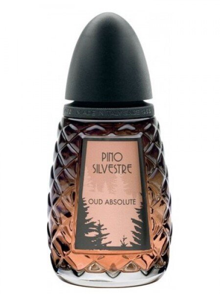 Pino Silvestre Oud Absolute EDT 125 ml Erkek Parfümü kullananlar yorumlar
